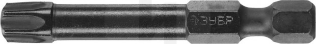 Биты ЗУБР "ПРОФИ" TORX, тип хвостовика E 1/4", T40, 50мм, 2шт, на карточке 26025-40-50-S2